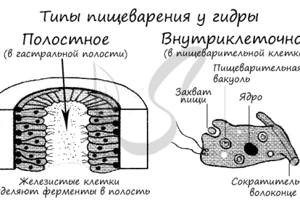 Ссылка кракен vtor run