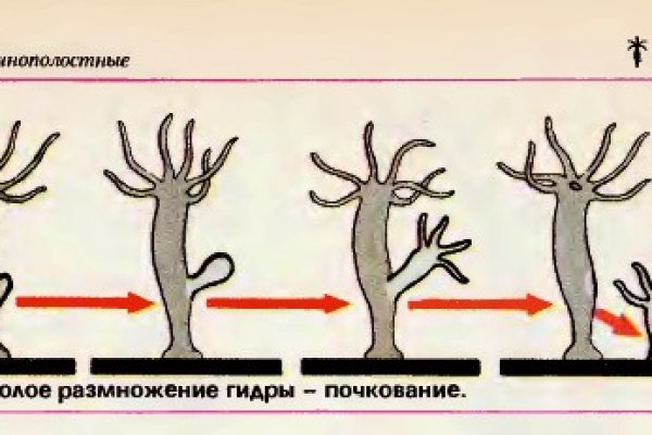 Кракен ссылка vtor