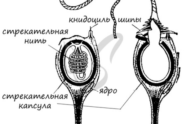 Кракен перестал работать