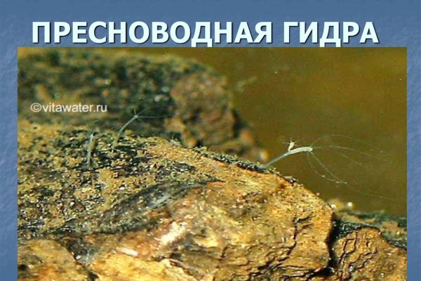 Kraken ссылка тор 2krnk biz kraken17ate pro